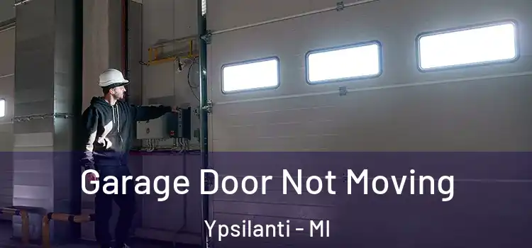  Garage Door Not Moving Ypsilanti - MI