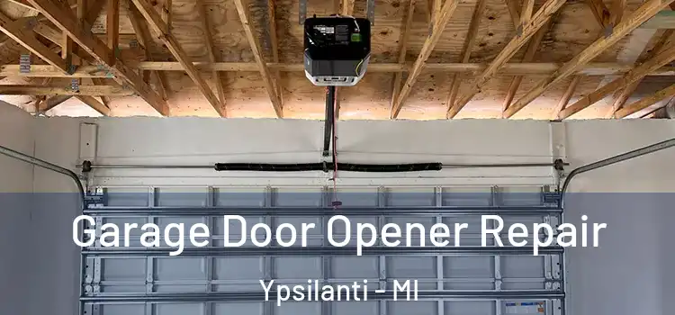  Garage Door Opener Repair Ypsilanti - MI