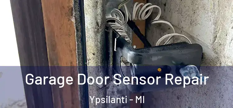  Garage Door Sensor Repair Ypsilanti - MI