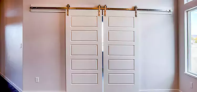 Glass Barn Door with Installation Hardware Kit Ypsilanti