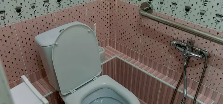 Meeting Diverse Needs With Accessible Restroom Solutions in Ypsilanti, MI