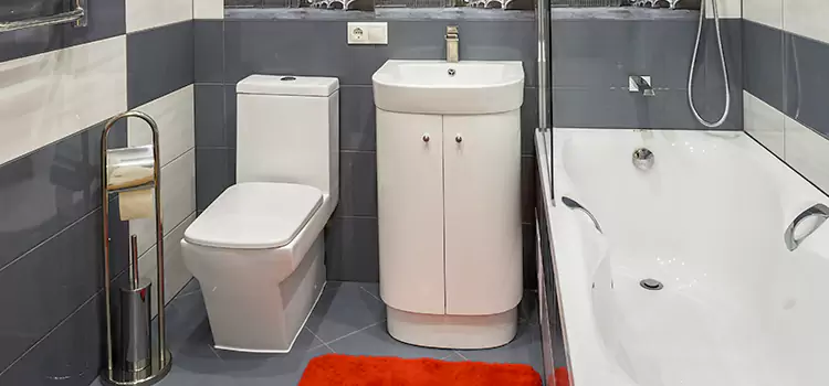 Hansgrohe Shaving Mirror Ypsilanti