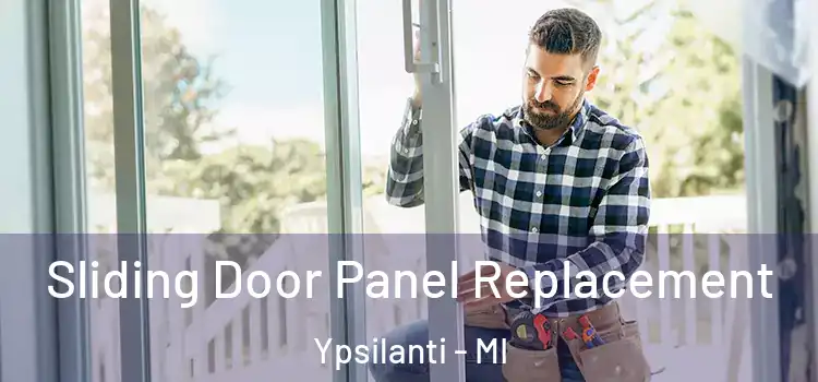  Sliding Door Panel Replacement Ypsilanti - MI